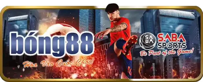 Cá cược bóng rổ tại IQ88
